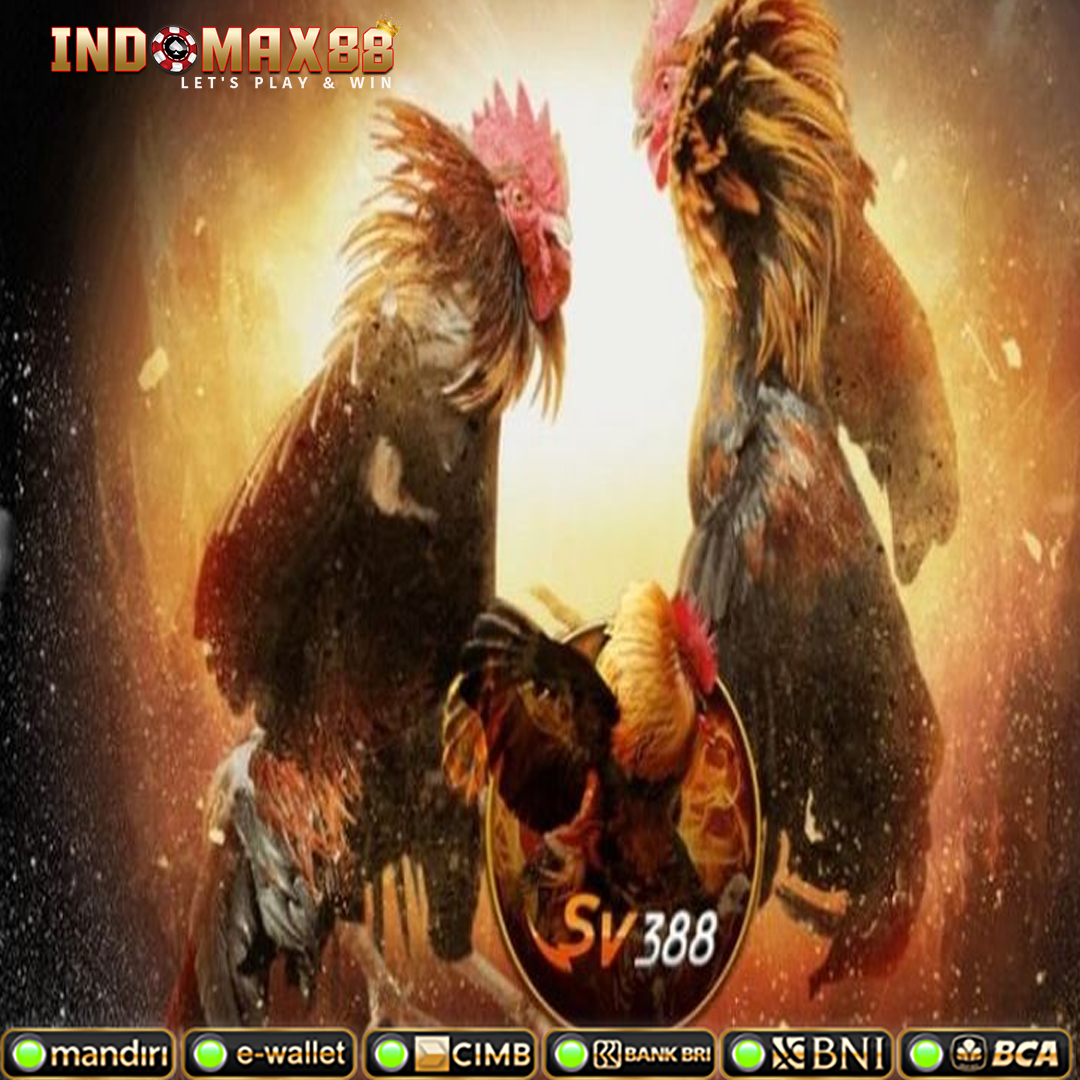 Sv388 🌏 Sabung Ayam Online Akses Link Alternatif Arena Terbaru